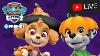 Patrouille Paw Halloween Et Les Épisodes De Sauvetage Spooky Live Stream Caricatures Pour Les Enfants