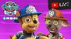 Ultimate Rescue Paw Patrol And Rescue Knights Episodes Live Stream Caricatures For Kids